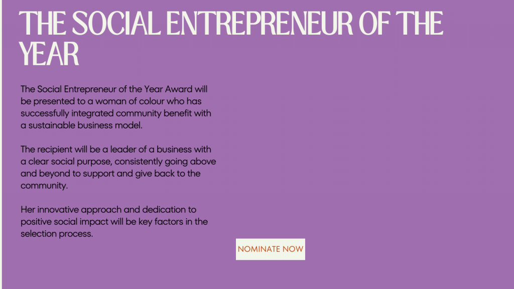 nomination criteria for the social entrepreneur of the year